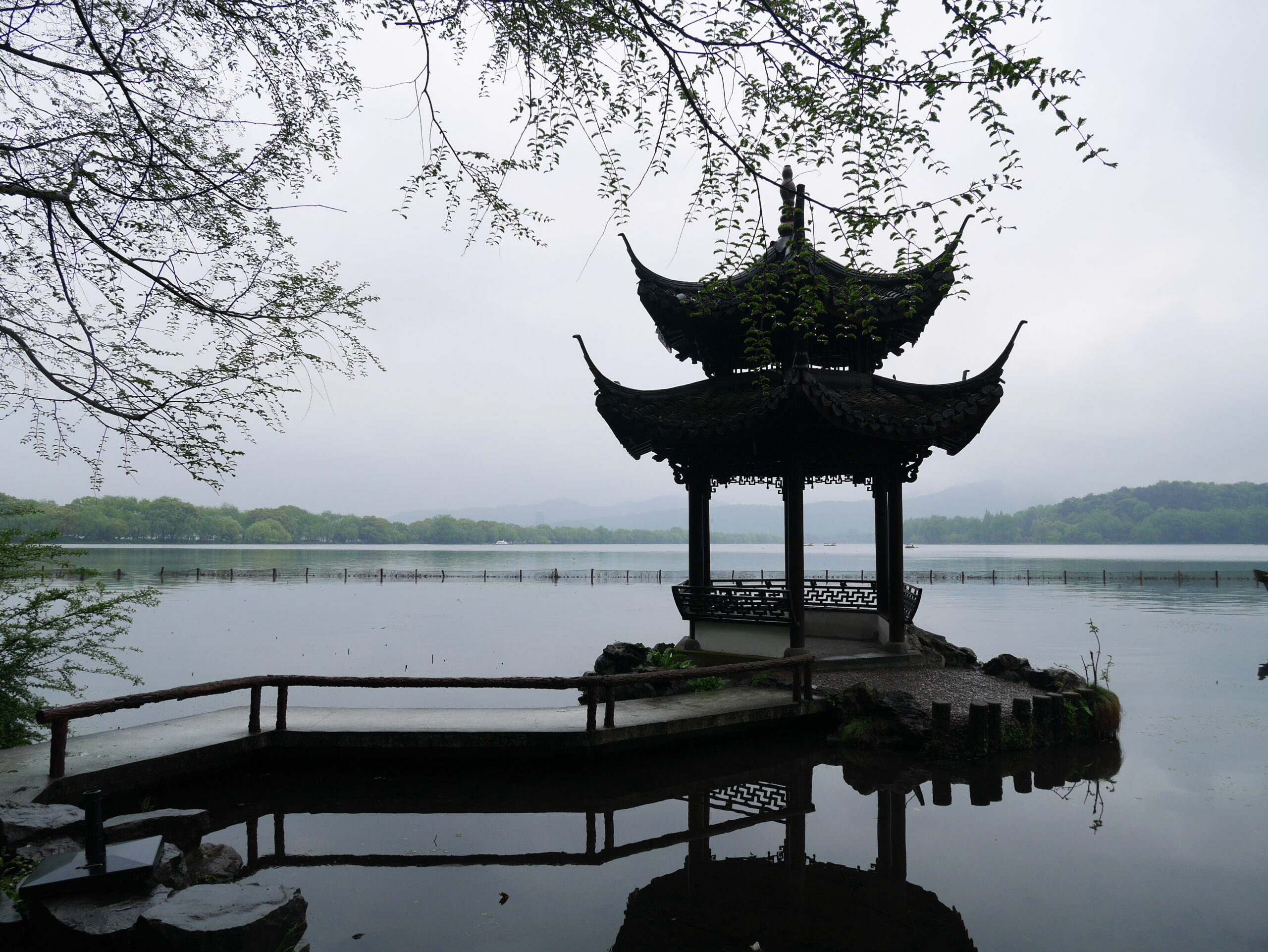 Zhang Xiaoyan